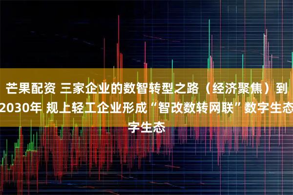 芒果配资 三家企业的数智转型之路（经济聚焦）到2030年 规上轻工企业形成“智改数转网联”数字生态