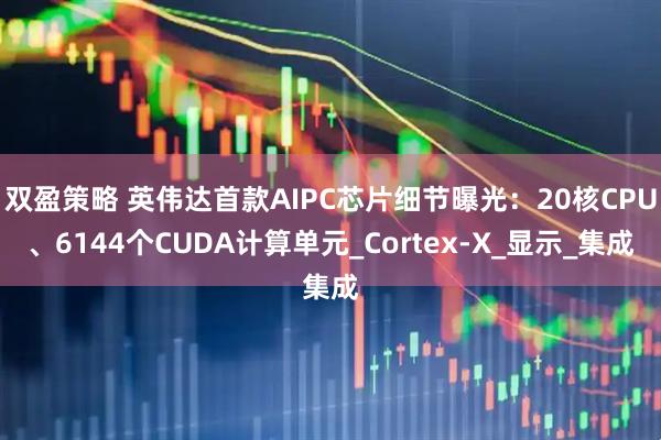 双盈策略 英伟达首款AIPC芯片细节曝光：20核CPU、6144个CUDA计算单元_Cortex-X_显示_集成
